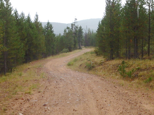 GDMBR: Rough riding.